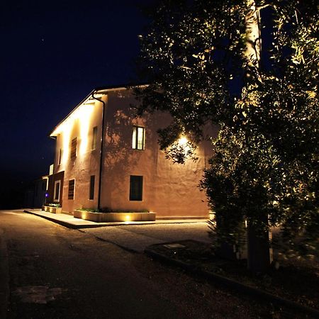 La Collina Del Girasole Villa Montecastrilli Dış mekan fotoğraf