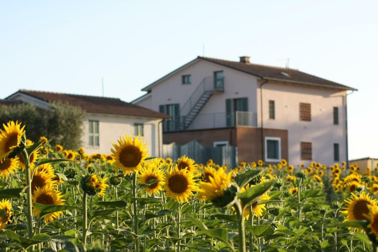 La Collina Del Girasole Villa Montecastrilli Dış mekan fotoğraf