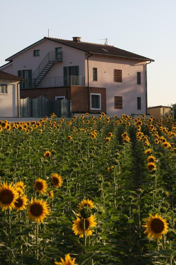 La Collina Del Girasole Villa Montecastrilli Dış mekan fotoğraf